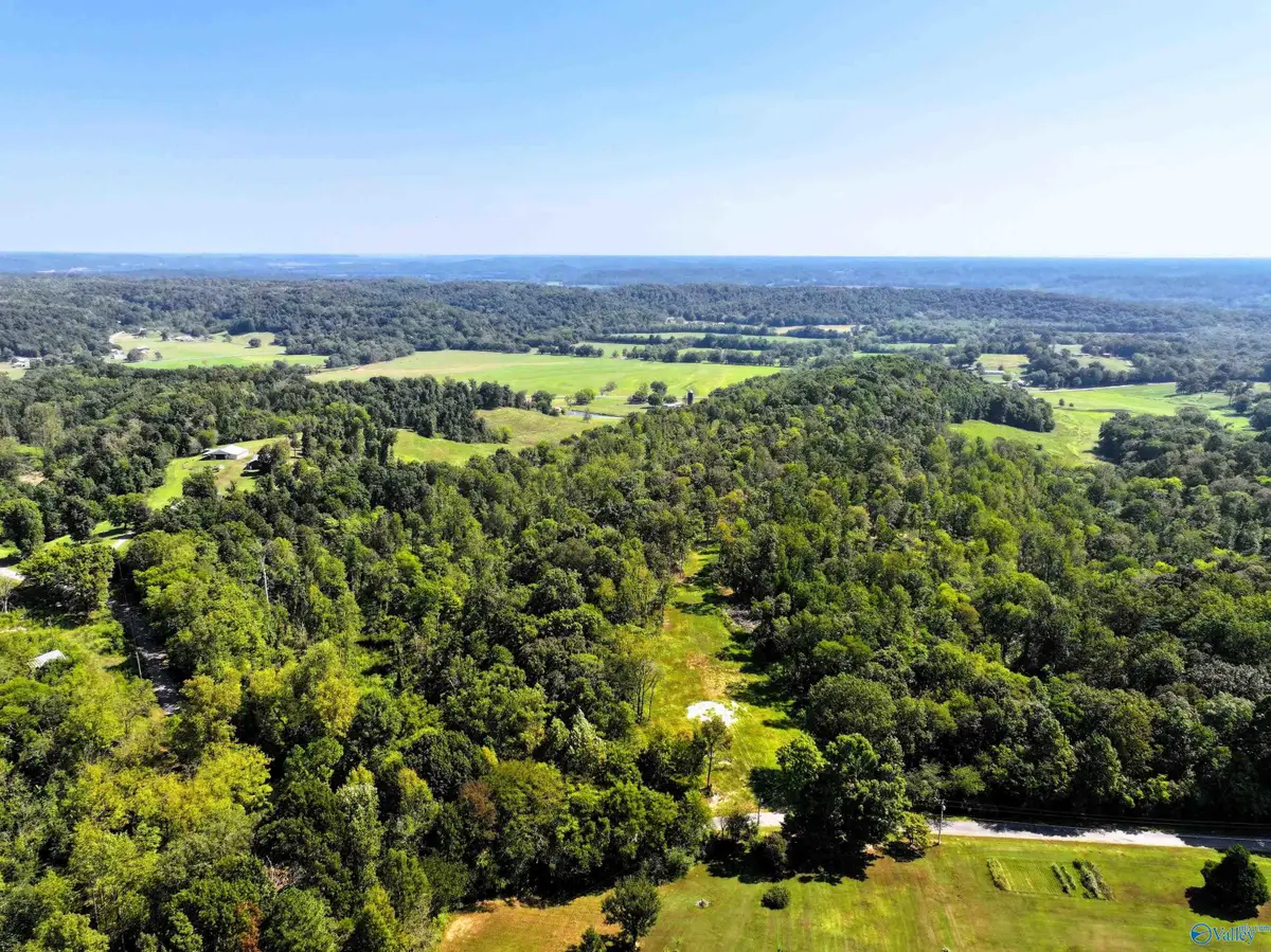 27720 Easter Ferry Road, Elkmont, AL 35620 - #1