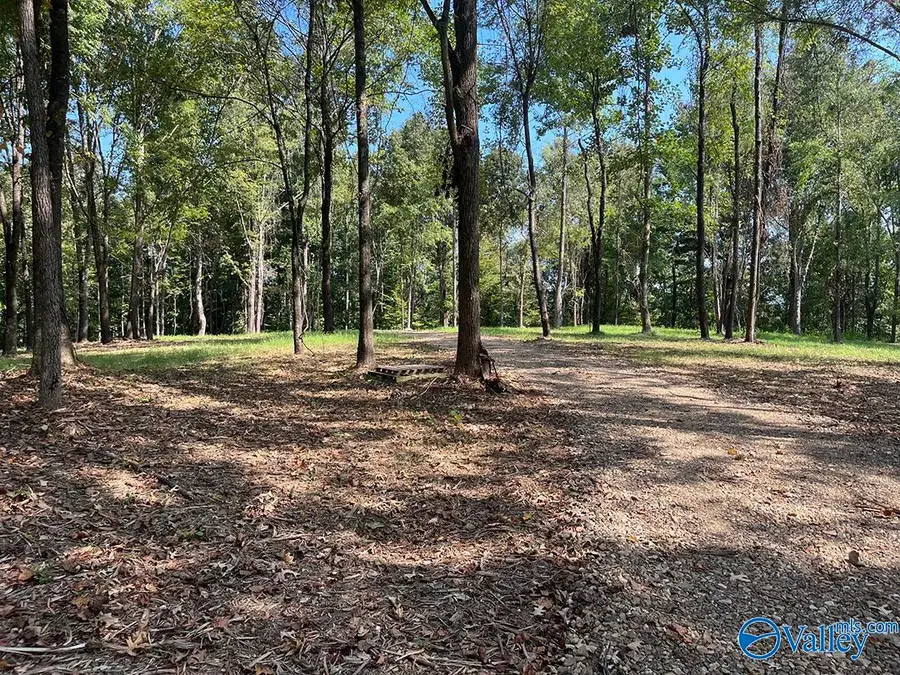 27720 Easter Ferry Road, Elkmont, AL 35620 - #2