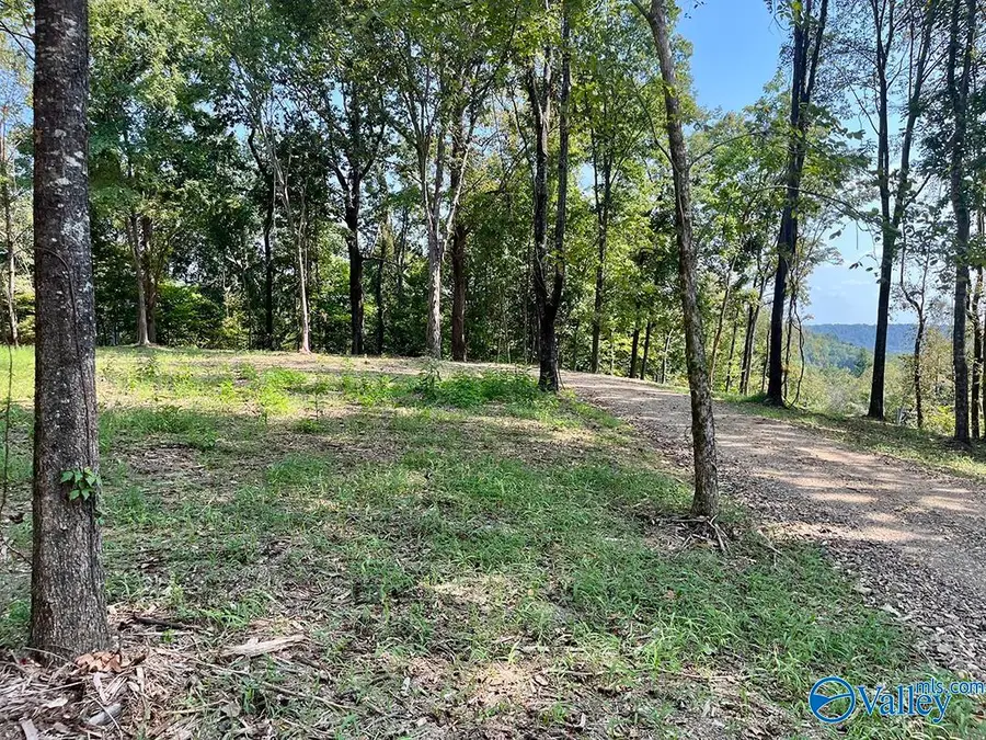 27720 Easter Ferry Road, Elkmont, AL 35620 - #3