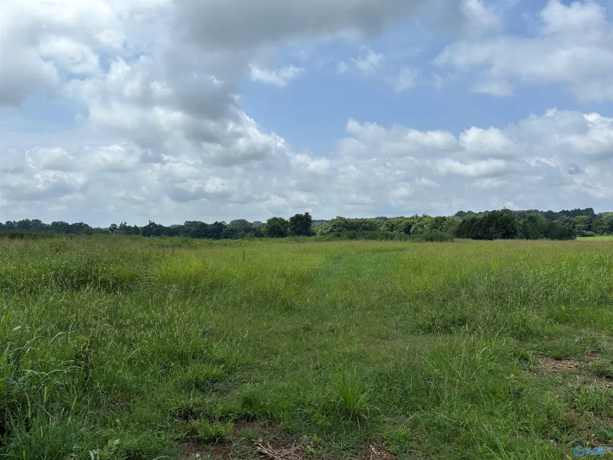 199 Acres Buddy Williamson Road, New Market, AL 35761 - #1