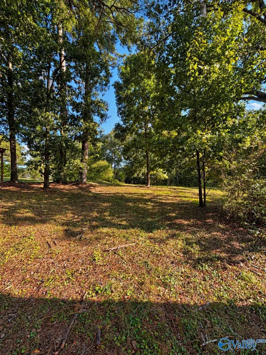 705 Agricola Drive, Gadsden, AL 35904 - #3