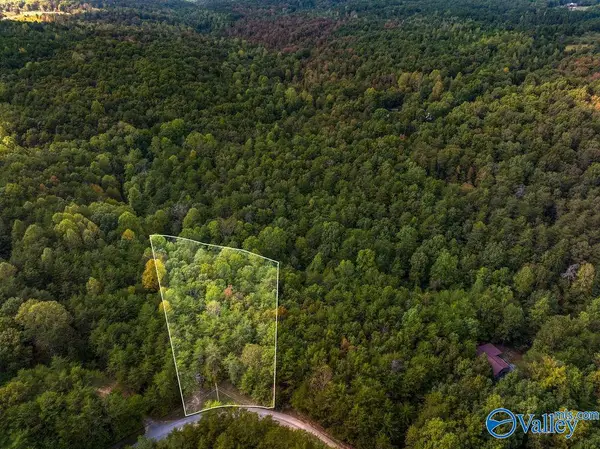 TRACT 20A Road 9002, Mentone, AL 35984