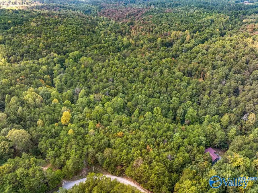 TRACT 20A Road 9002, Mentone, AL 35984 - #2