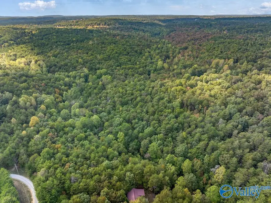 TRACT 20A Road 9002, Mentone, AL 35984 - #3