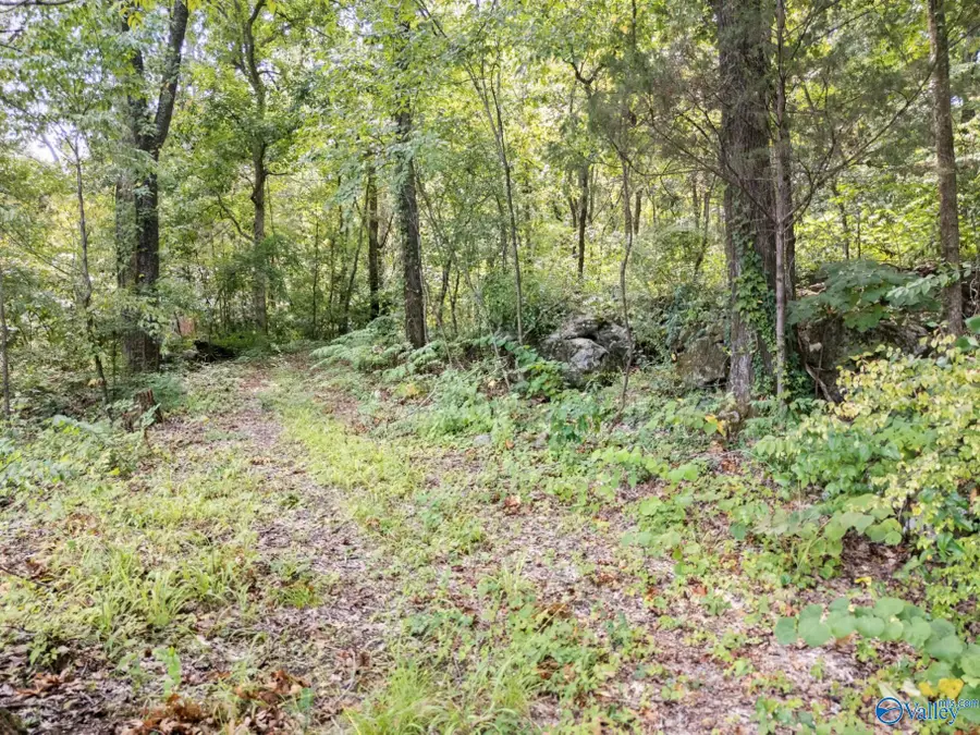 Lot 6 Todd Mill Road, Huntsville, AL 35803 - #3