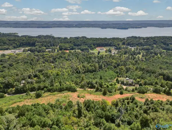 LOT 2&3 October Way, Guntersville, AL 35976