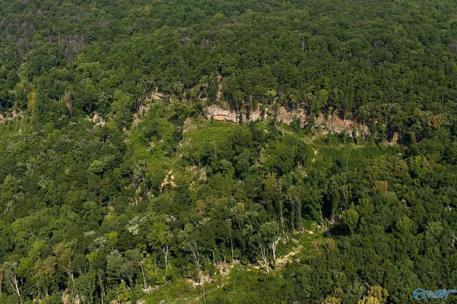 100 acres Wade Point Road, Huntsville, AL 35803 - #2