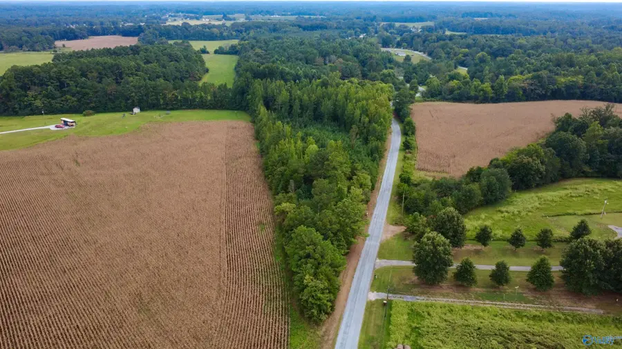 4 acres Monday Road, Lester, AL 35647 - #2