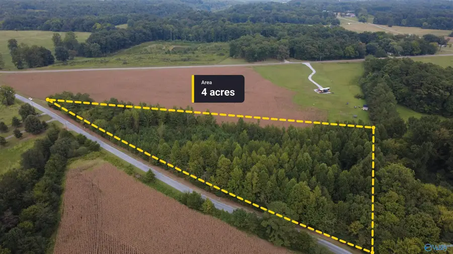 4 acres Monday Road, Lester, AL 35647 - #3