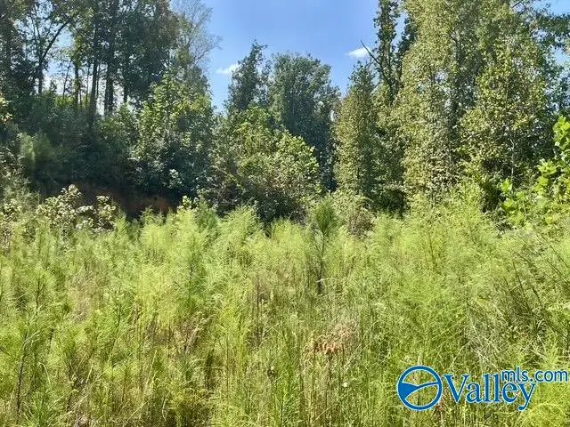 6783 Ivey Way, Trussville, AL 35173 - #3