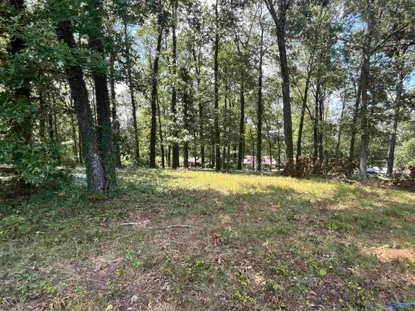 1307 Bellevue Drive, Gadsden, AL 35904
