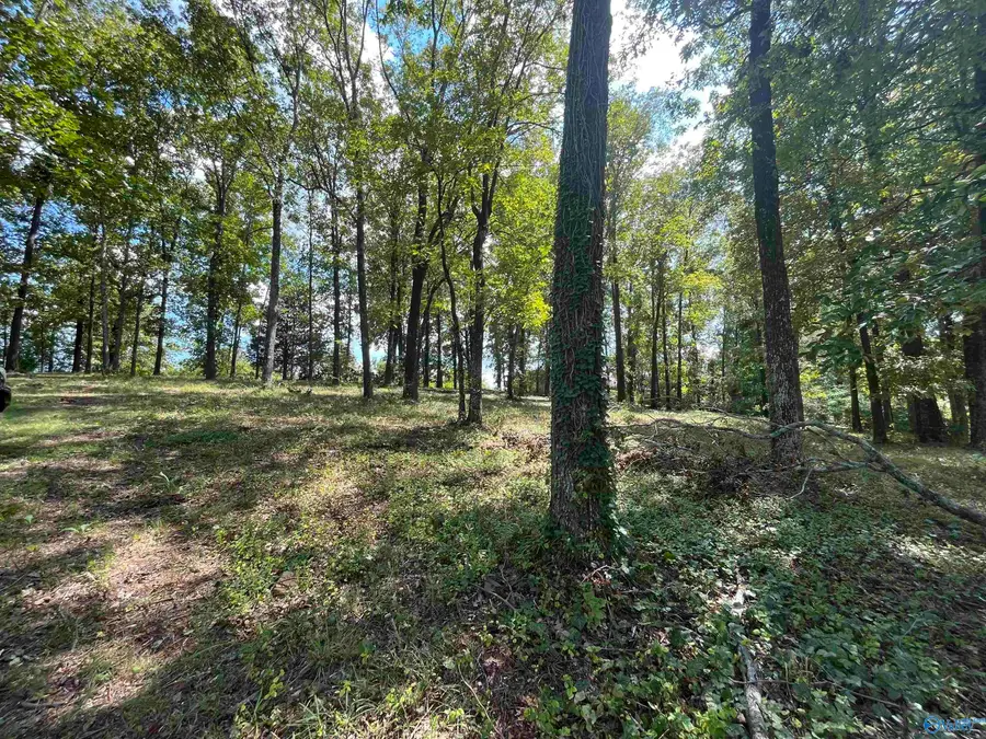 1307 Bellevue Drive, Gadsden, AL 35904 - #2
