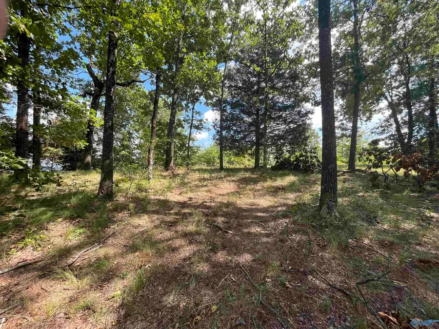 1307 Bellevue Drive, Gadsden, AL 35904 - #3