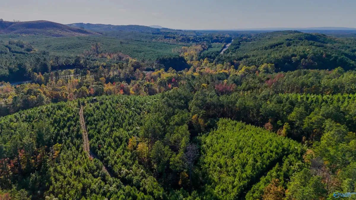 33 County Road 101, Centre, AL 35960 - #1