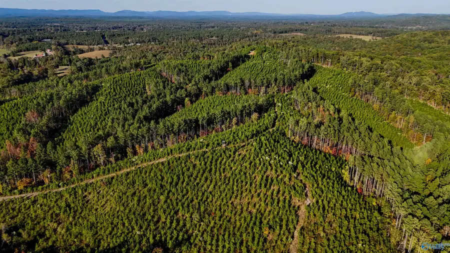 33 County Road 101, Centre, AL 35960 - #3