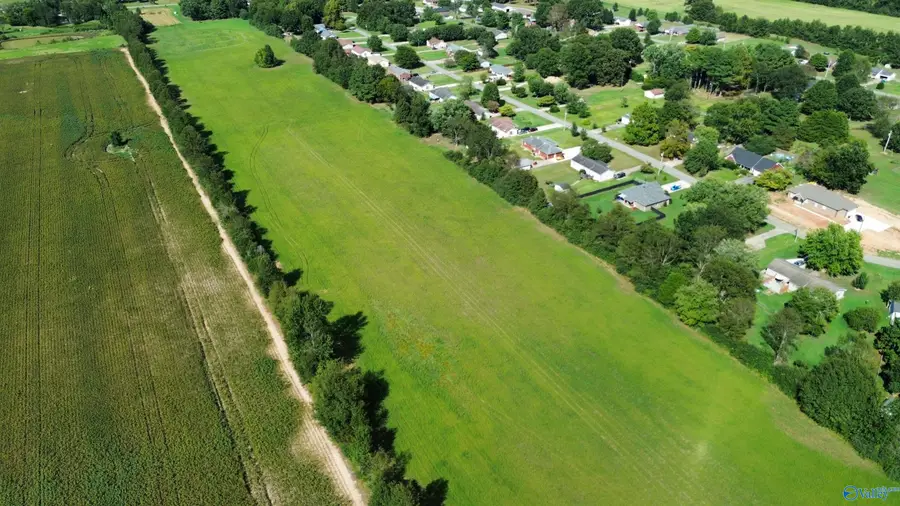 3.75 Acres Cannon Road, Elkmont, AL 35620 - #2