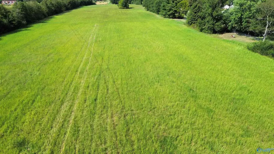 3.75 Acres Cannon Road, Elkmont, AL 35620 - #3