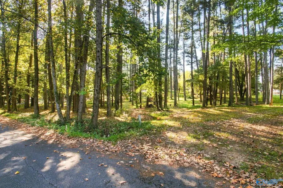 26707 Denbo Circle, Harvest, AL 35749 - #2