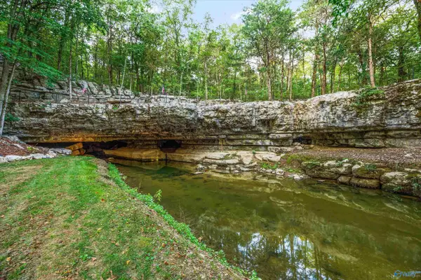 4201 Pleasant Valley Road, Union Grove, AL 35175