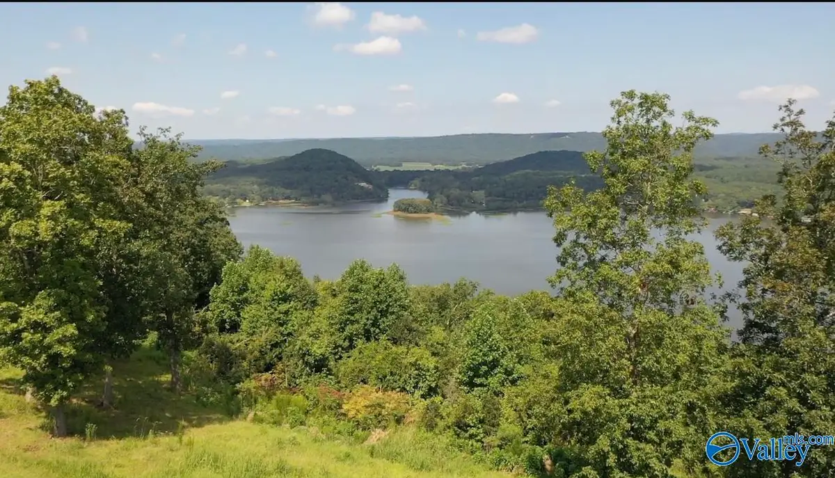 Lot 302 County Road 1022 #302, Cedar Bluff, AL 35959 - #1