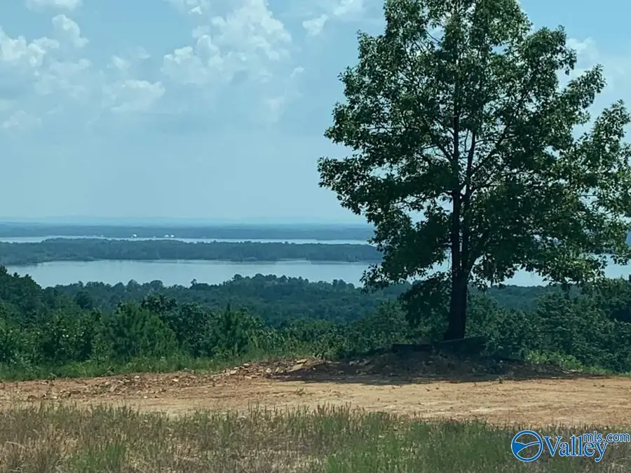 Lot 221 County Road 1022 #221, Cedar Bluff, AL 35959 - #3