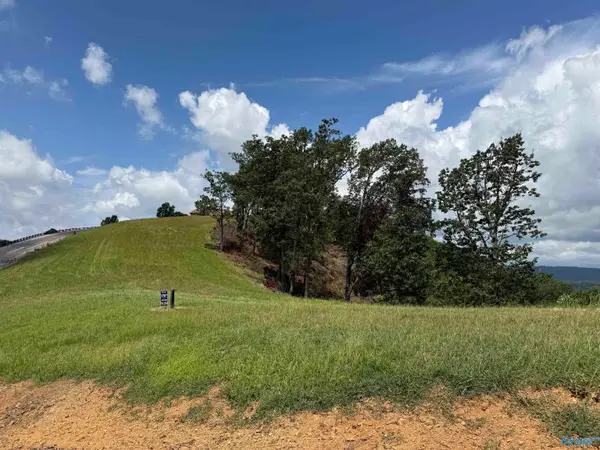 Lot 214 County Road 1022 #214, Cedar Bluff, AL 35959