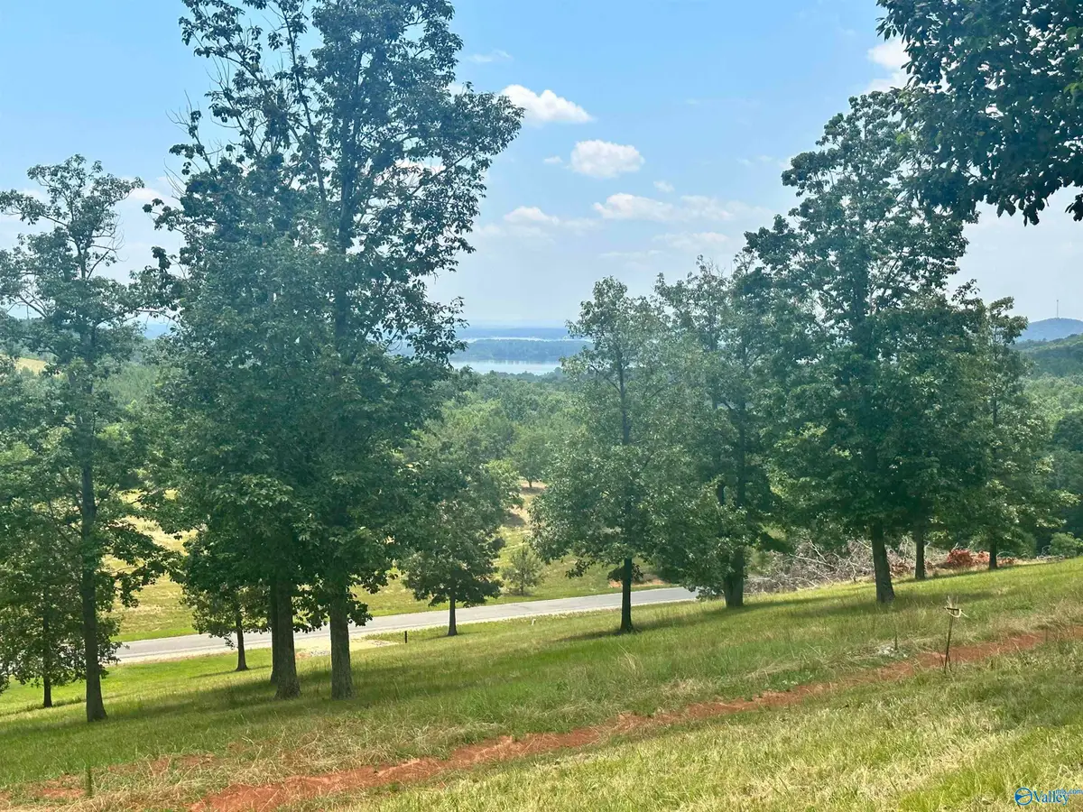 Lot 218 County Road 1022 #218, Cedar Bluff, AL 35959 - #1