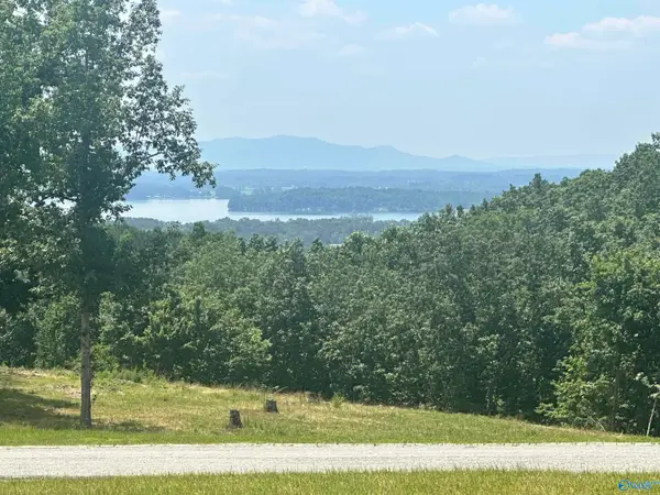 Lot 228 County Road 767 #228, Cedar Bluff, AL 35959