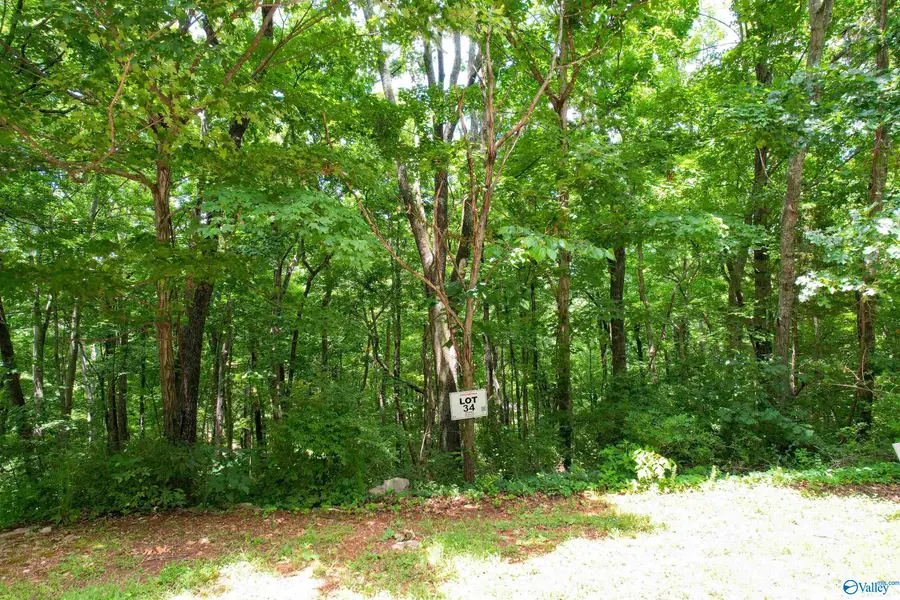 Lot 34 Darlington Road, Huntsville, AL 35801 - #2