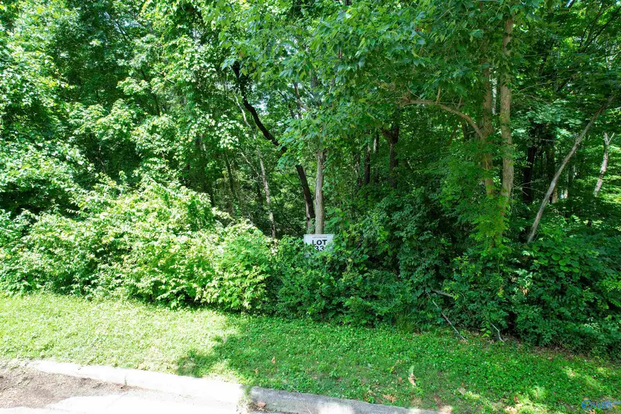 Lot 33 Darlington Road, Huntsville, AL 35801 - #3
