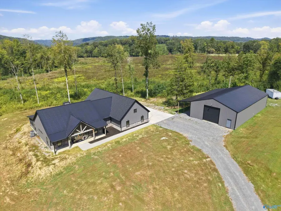 2005 Aldridge Gap Road, Guntersville, AL 35976 - #2