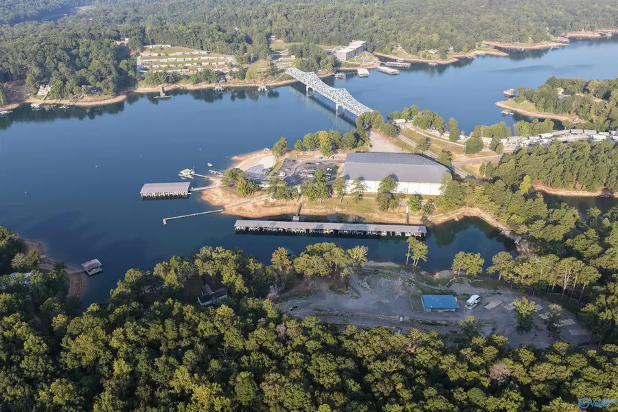 315 Bridgeview Road, Arley, AL 35541 - #2