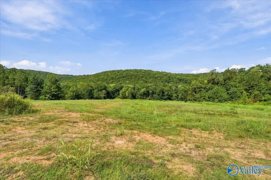 6170 Feather Way Se, Owens Cross Roads, AL 35763 - #3