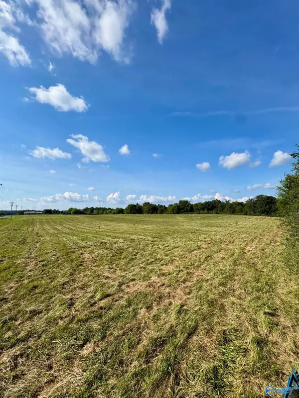 10.77 County Road 48, Section, AL 35771