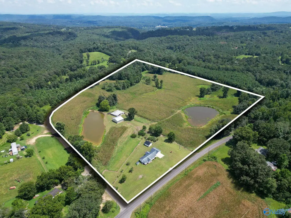 2828 Egypt Road, Altoona, AL 35952 - #1