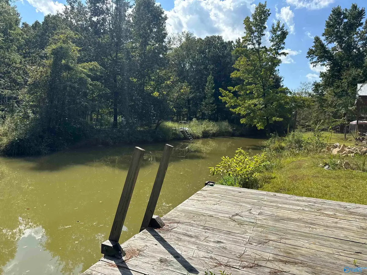 13/14 County Road 450, Centre, AL 35960 - #1