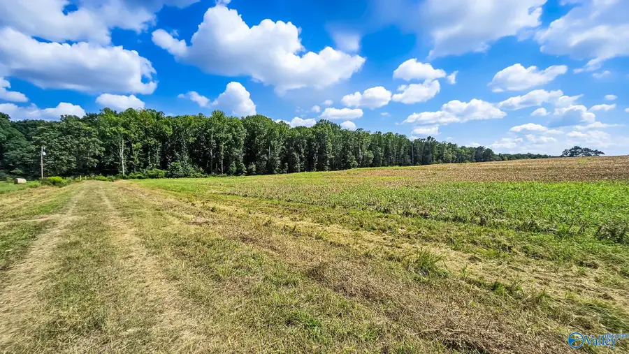 XXXX Meadows Road, Athens, AL 35613 - #3