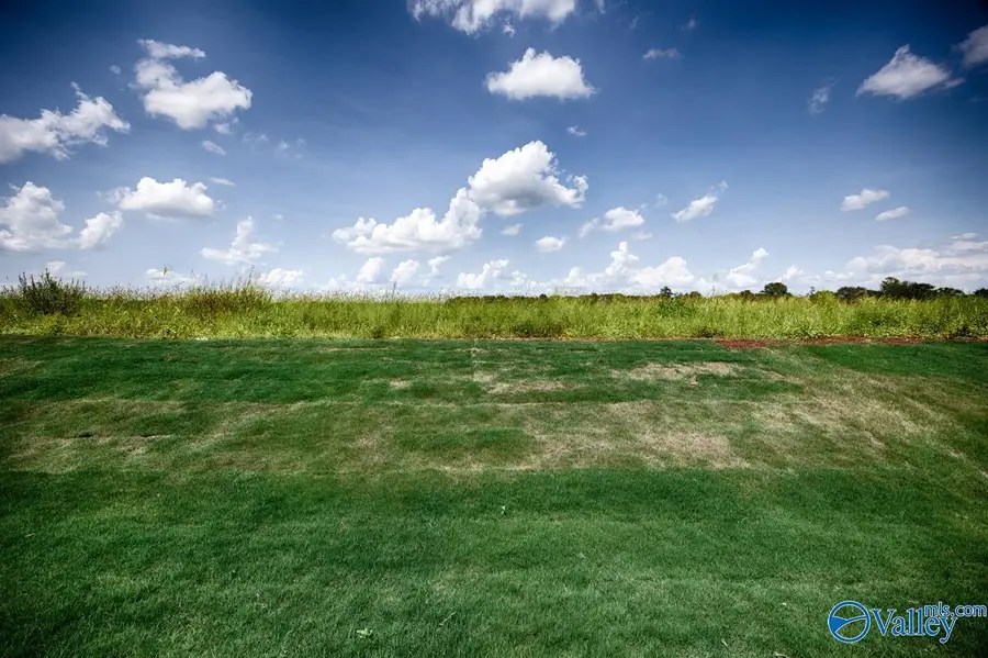 130 Shearwater Drive, Meridianville, AL 35759 - #2