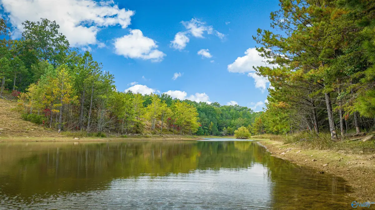 505 Road 9002, Mentone, AL 35984 - #1