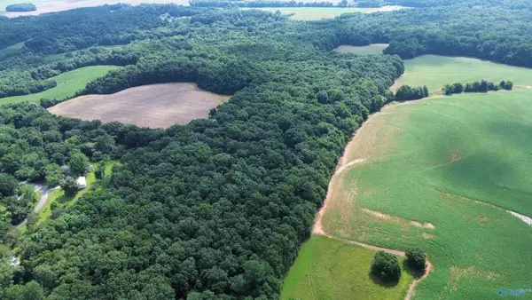 23.33 Acres Cowford Road, Athens, AL 35611