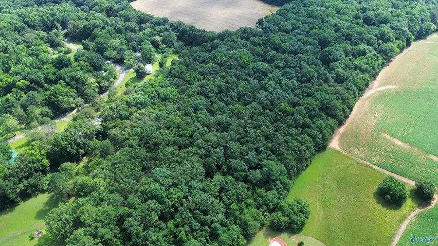 23.33 Acres Cowford Road, Athens, AL 35611 - #2