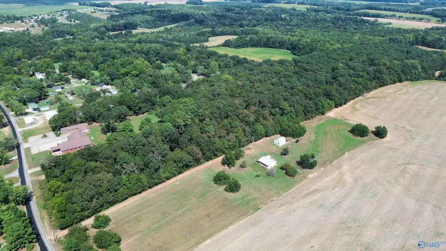 23.33 Acres Cowford Road, Athens, AL 35611 - #3