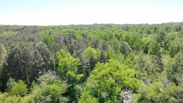 4049 Bethsaida Road, Boaz, AL 35957