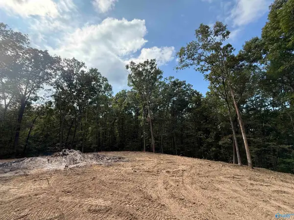 7 Acres, Guntersville, AL 35976