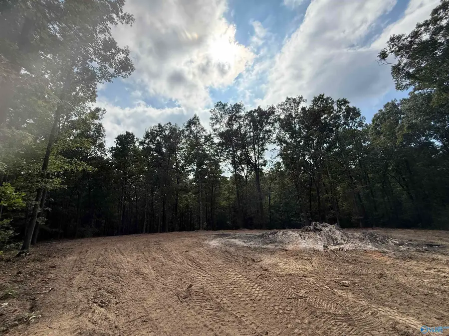 7 Acres, Guntersville, AL 35976 - #2