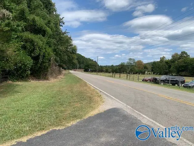 10831 County Road 29, Centre, AL 35960 - #3