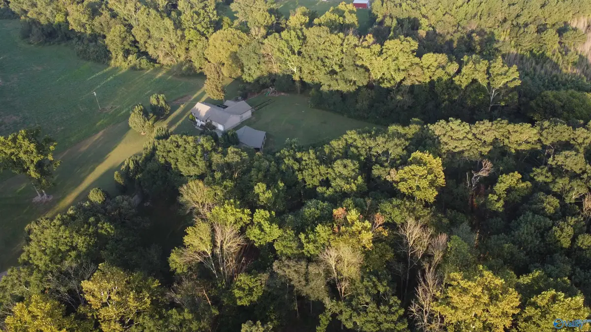 8339 Nixon Chapel Road, Horton, AL 35980 - #1