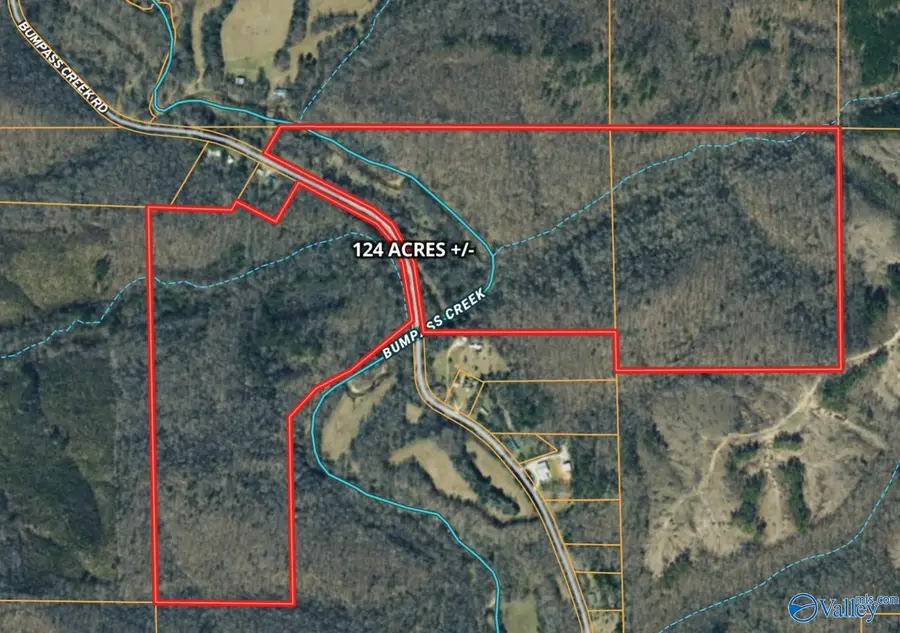 4690 (A) County Road 14, Waterloo, AL 35677 - #2