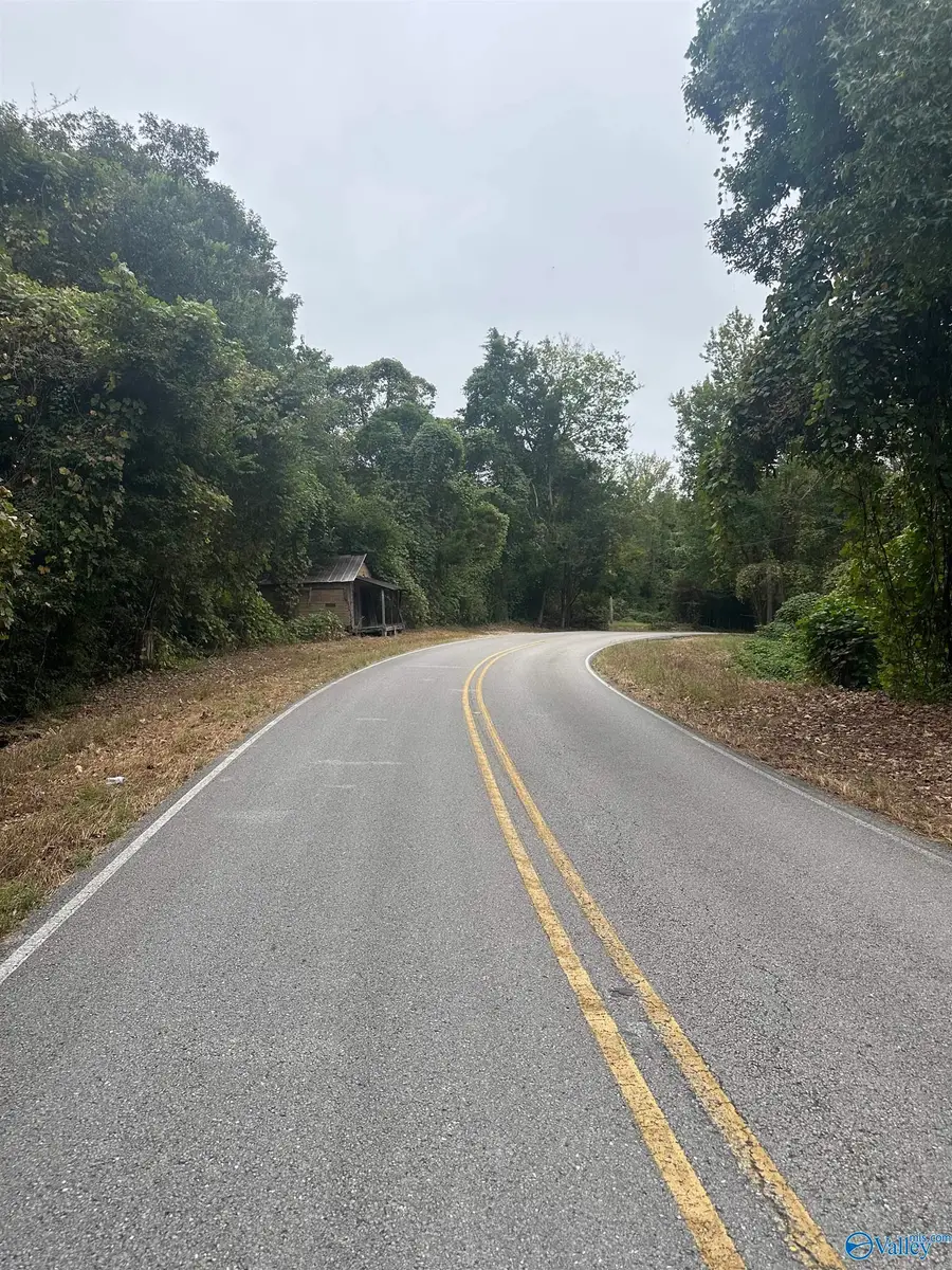 4690 (A) County Road 14, Waterloo, AL 35677 - #3
