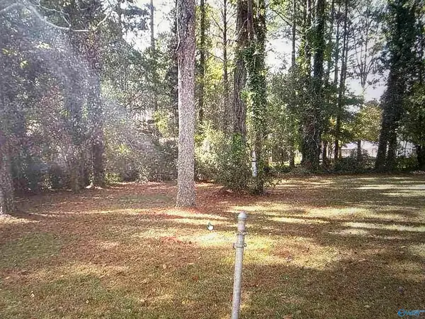 1709 Elwyn Ave. Elwyn Avenue, Gadsden, AL 35904